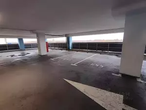 Фото к объявлению #21661640