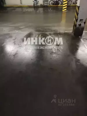 Фото к объявлению #19895123