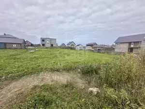 Фото к объявлению #22196481