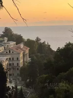 Фото к объявлению #21345873