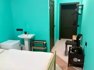 Фото к объявлению #22227360