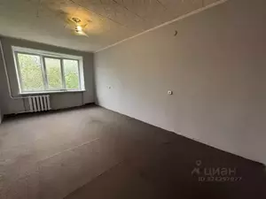 Фото к объявлению #22289388