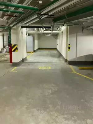 Фото к объявлению #22249259