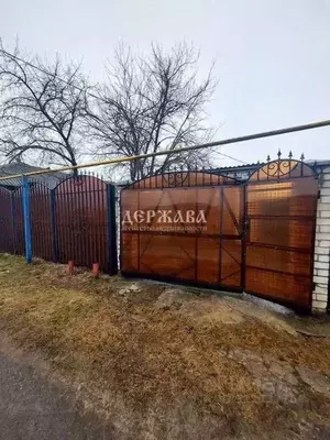 Фото к объявлению #21930353