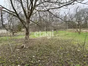 Фото к объявлению #20372445