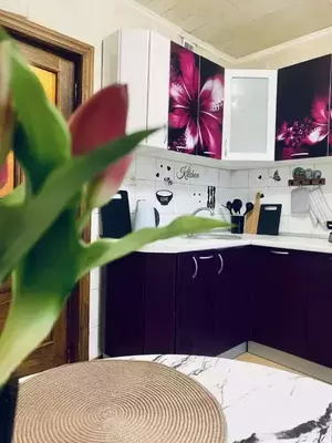 Фото к объявлению #22242897