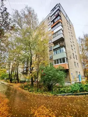 Фото к объявлению #22189220