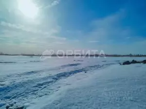 Фото к объявлению #22029389
