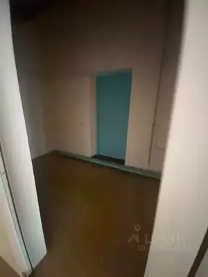 Фото к объявлению #22217570