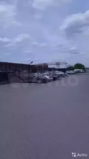 Фото к объявлению #21139263