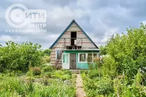 Фото к объявлению #20284198