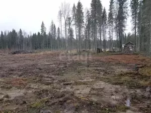 Фото к объявлению #22247103