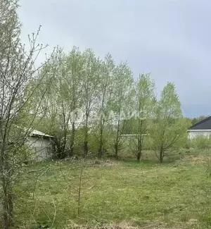 Фото к объявлению #20952959