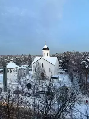 Фото к объявлению #22280963