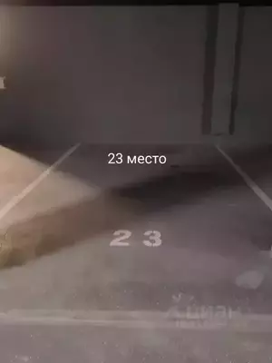 Фото к объявлению #21433234