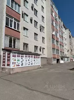 Фото к объявлению #20377074