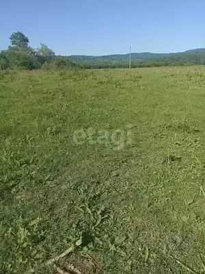 Фото к объявлению #22215207