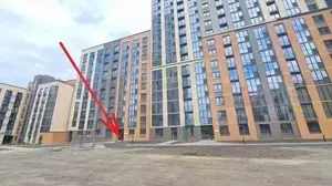 Фото к объявлению #20429244