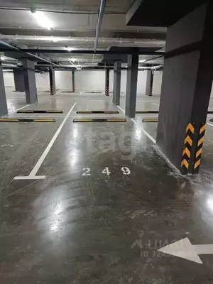 Фото к объявлению #22241872