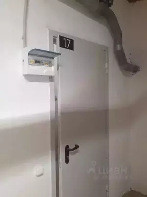 Фото к объявлению #21398343