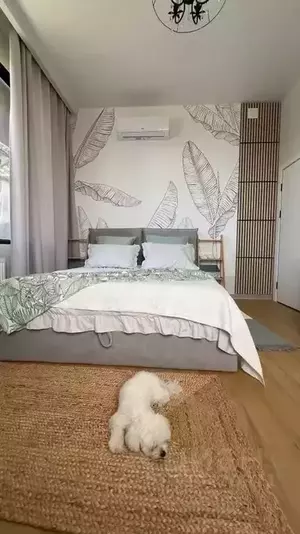 Фото к объявлению #22243186