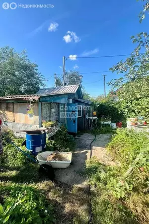 Фото к объявлению #22106890