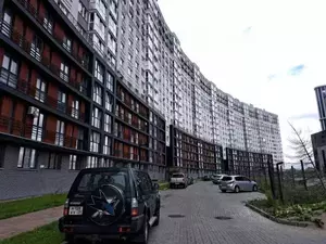 Фото к объявлению #20642089