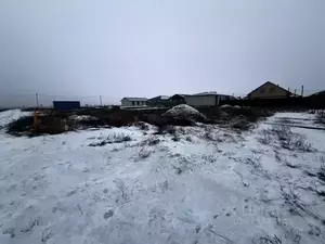 Фото к объявлению #22269896