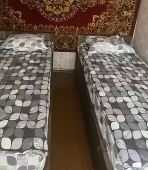 Фото к объявлению #20162264