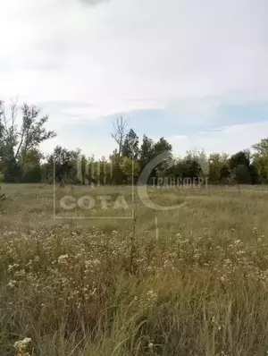 Фото к объявлению #22247182