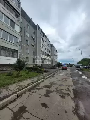 Фото к объявлению #22165345