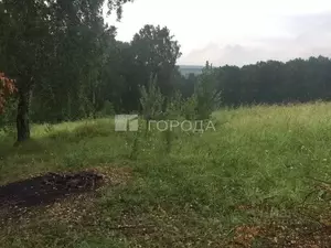 Фото к объявлению #22068149