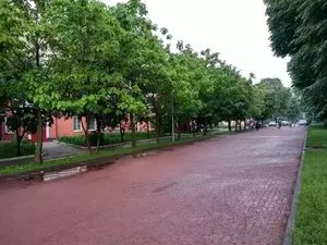 Фото к объявлению #22280673