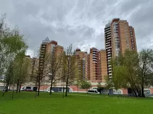 Фото к объявлению #20791449