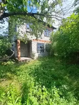 Фото к объявлению #20601412