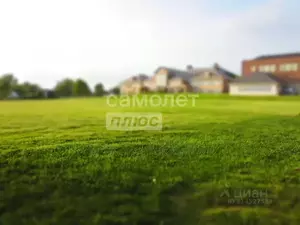 Фото к объявлению #22047248