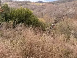 Фото к объявлению #22211899