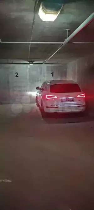 Фото к объявлению #20724782