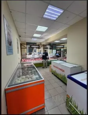 Фото к объявлению #22284111