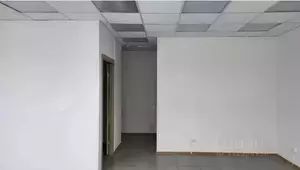 Фото к объявлению #21957968