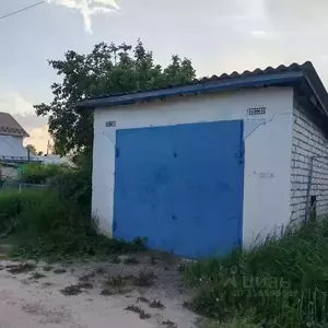 Фото к объявлению #22102107