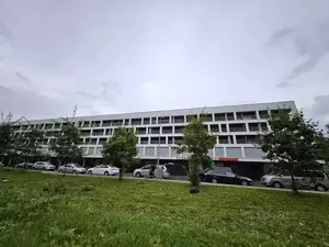 Фото к объявлению #21233683