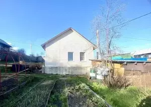 Фото к объявлению #20566667