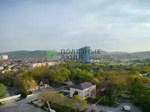 Фото к объявлению #20805197