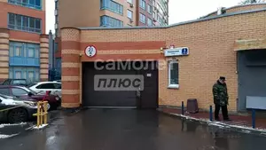 Фото к объявлению #22221660