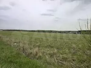 Фото к объявлению #22060007