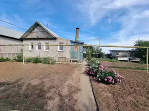 Фото к объявлению #20555770