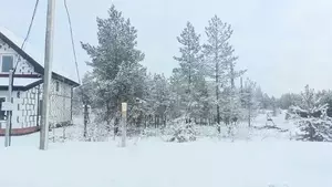 Фото к объявлению #21941174