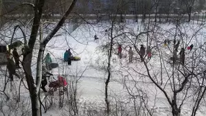 Фото к объявлению #21443160