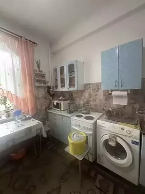 Фото к объявлению #22167656